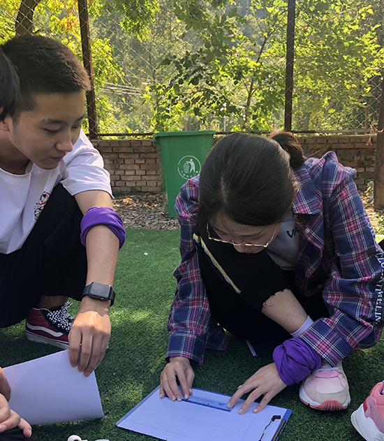 ���ֹ��ʡ�F66(�й���)�ٷ���վ